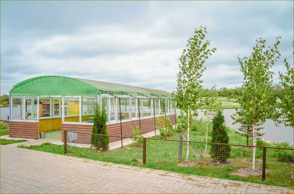 База отдыха 