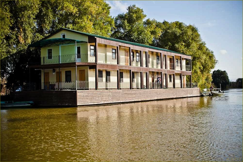 (база, отдыха, фишка, володарском, районе) База отдыха