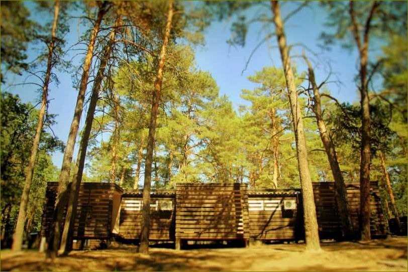 База отдыха 