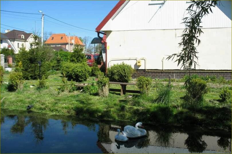 База отдыха 