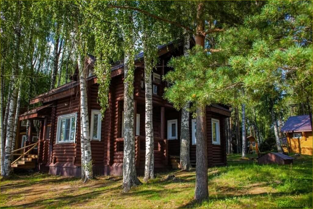 Уникальная база отдыха в Вологодской области — откройте для себя превосходную базу 