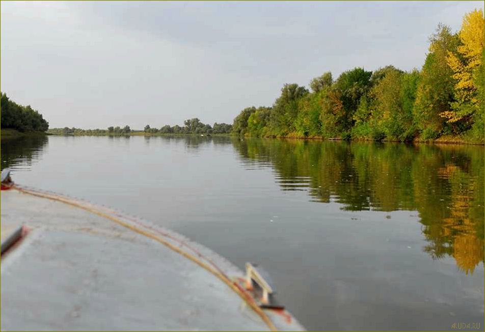 Уникальная база отдыха в живописном заплавном регионе Волгоградской области, где вас ждут незабываемые приключения и полный релакс