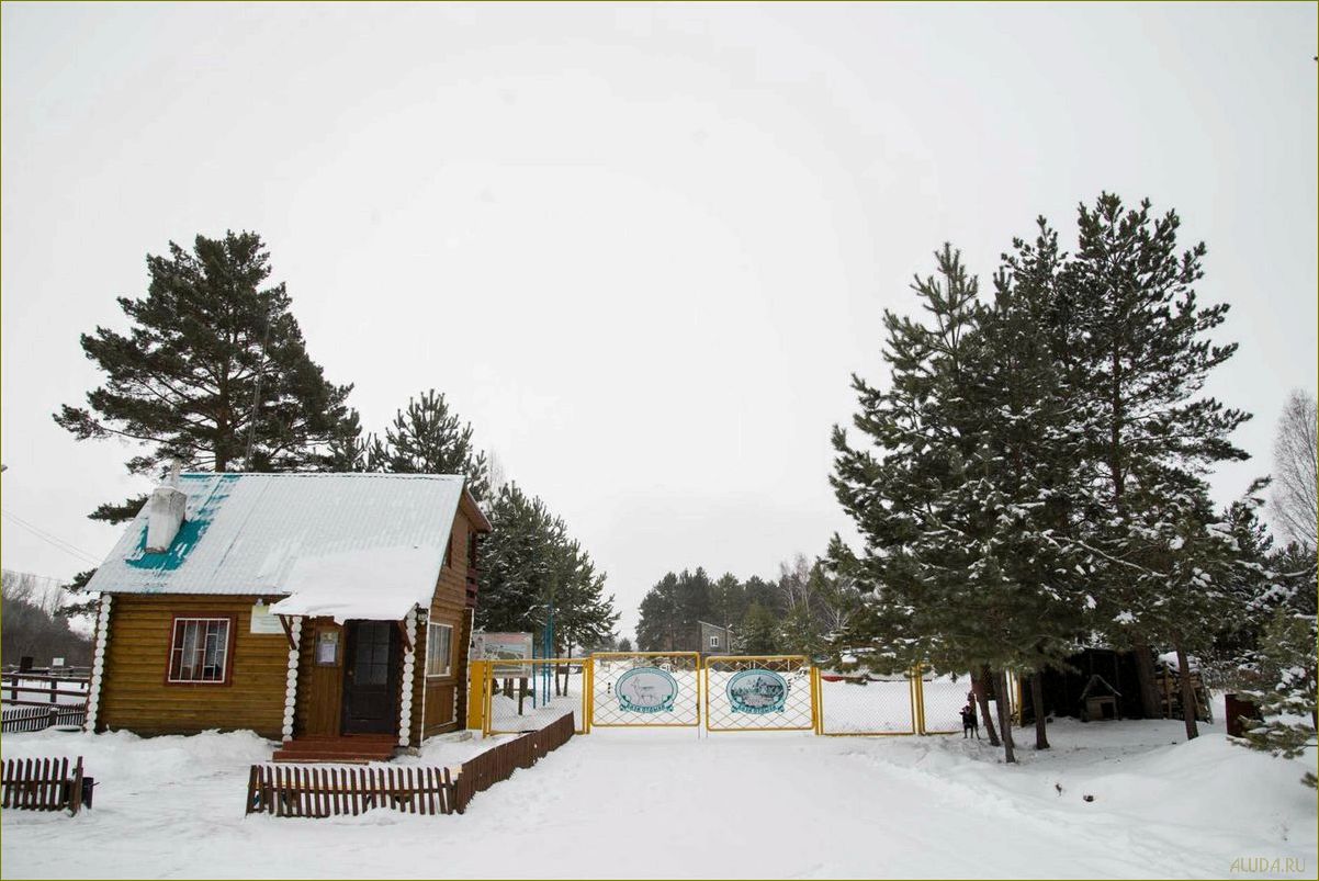 Отдых на базах отдыха с озерами в Курганской области — наслаждайтесь красотой природы и комфортом