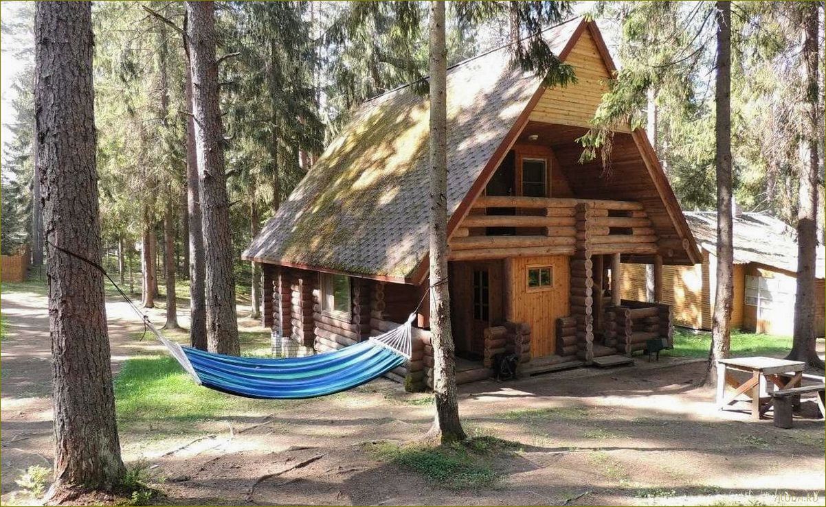 (расположение, особенности, отдыха, новгородской, ленинградской) Расположение и особенности баз отдыха в Новгородской и Ленинградской областях