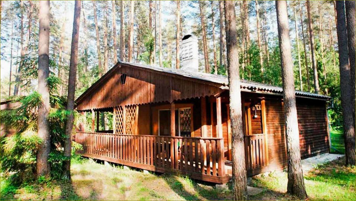 (расположение, особенности, отдыха, новгородской, ленинградской) Расположение и особенности баз отдыха в Новгородской и Ленинградской областях