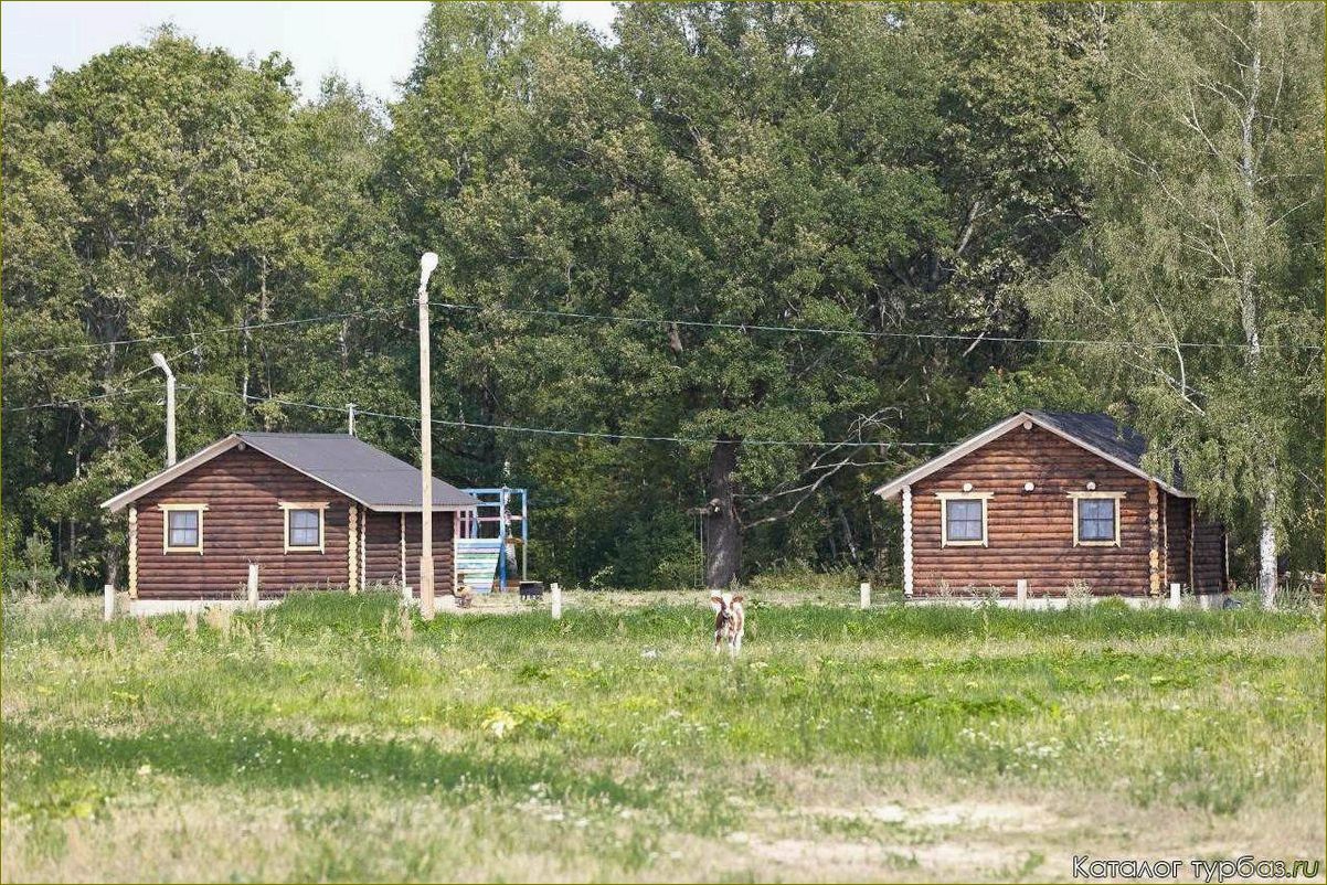 (расположение, особенности, отдыха, новгородской, ленинградской) Расположение и особенности баз отдыха в Новгородской и Ленинградской областях