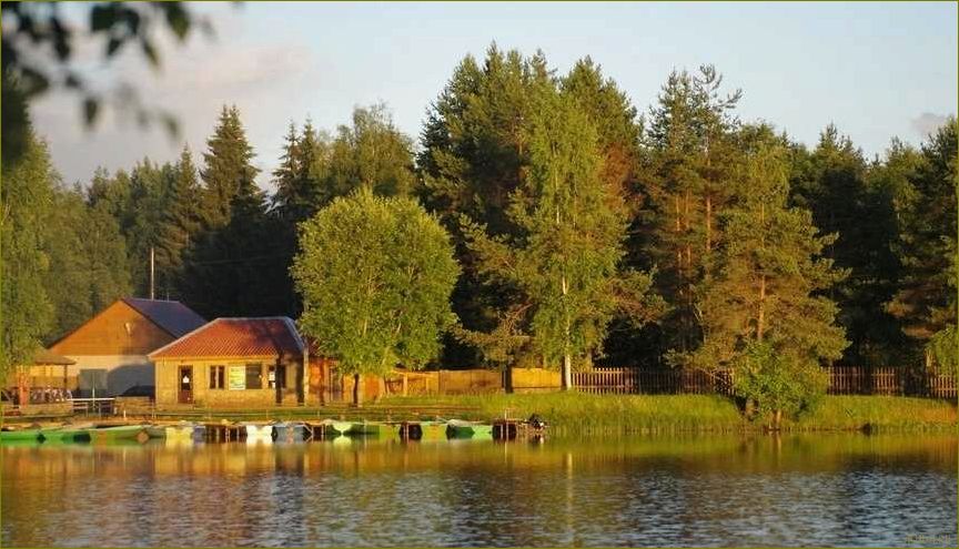 (расположение, особенности, отдыха, новгородской, ленинградской) Расположение и особенности баз отдыха в Новгородской и Ленинградской областях