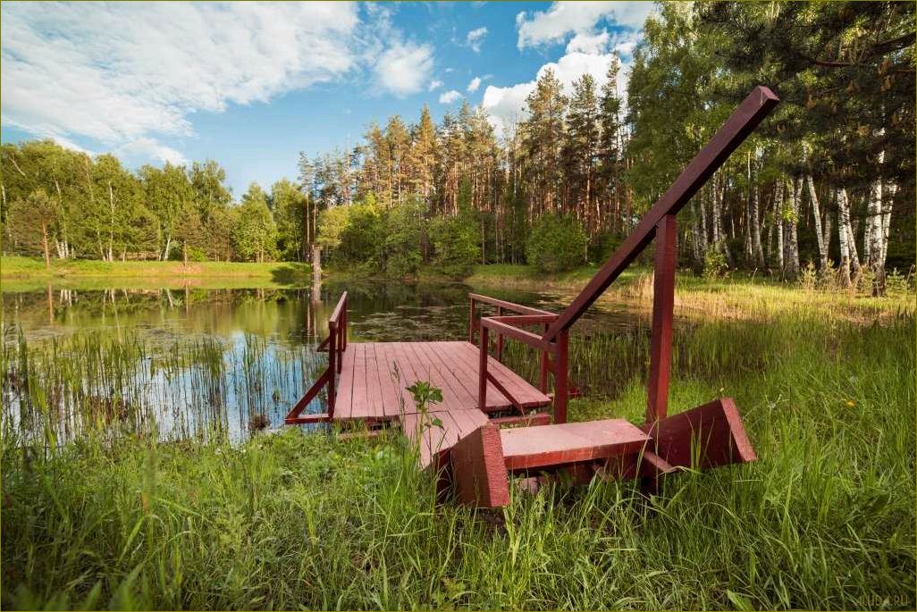 Разнообразие баз отдыха в Вязниковском районе Владимирской области — идеальное место для отдыха и релаксации