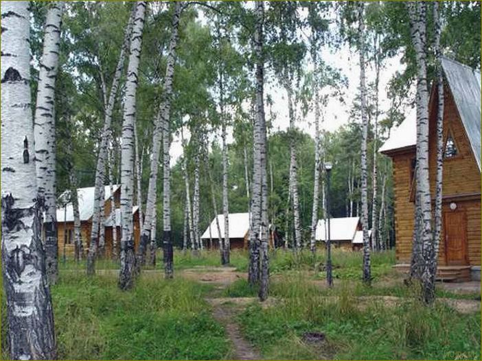 Разнообразие баз отдыха в Вязниковском районе Владимирской области — идеальное место для отдыха и релаксации