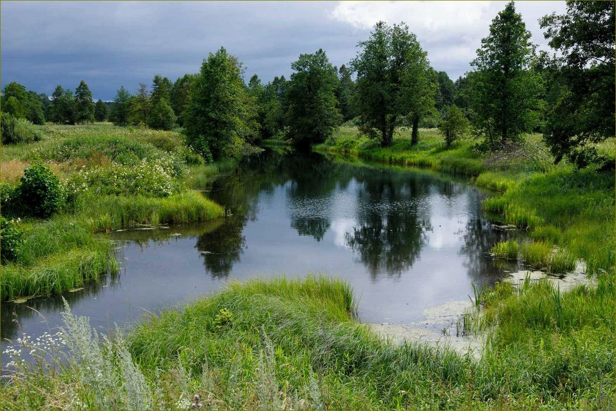 Разнообразие баз отдыха в Вязниковском районе Владимирской области — идеальное место для отдыха и релаксации