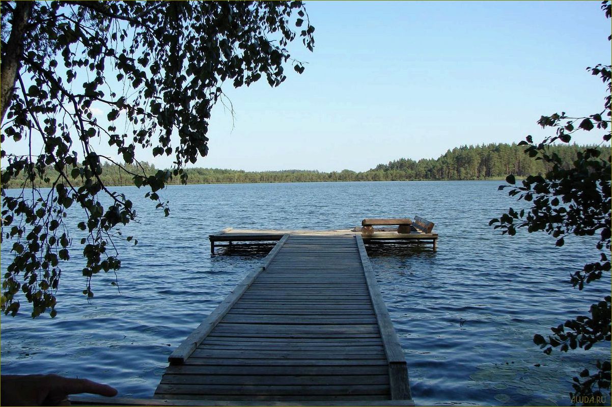 Разнообразие баз отдыха в Вязниковском районе Владимирской области — идеальное место для отдыха и релаксации