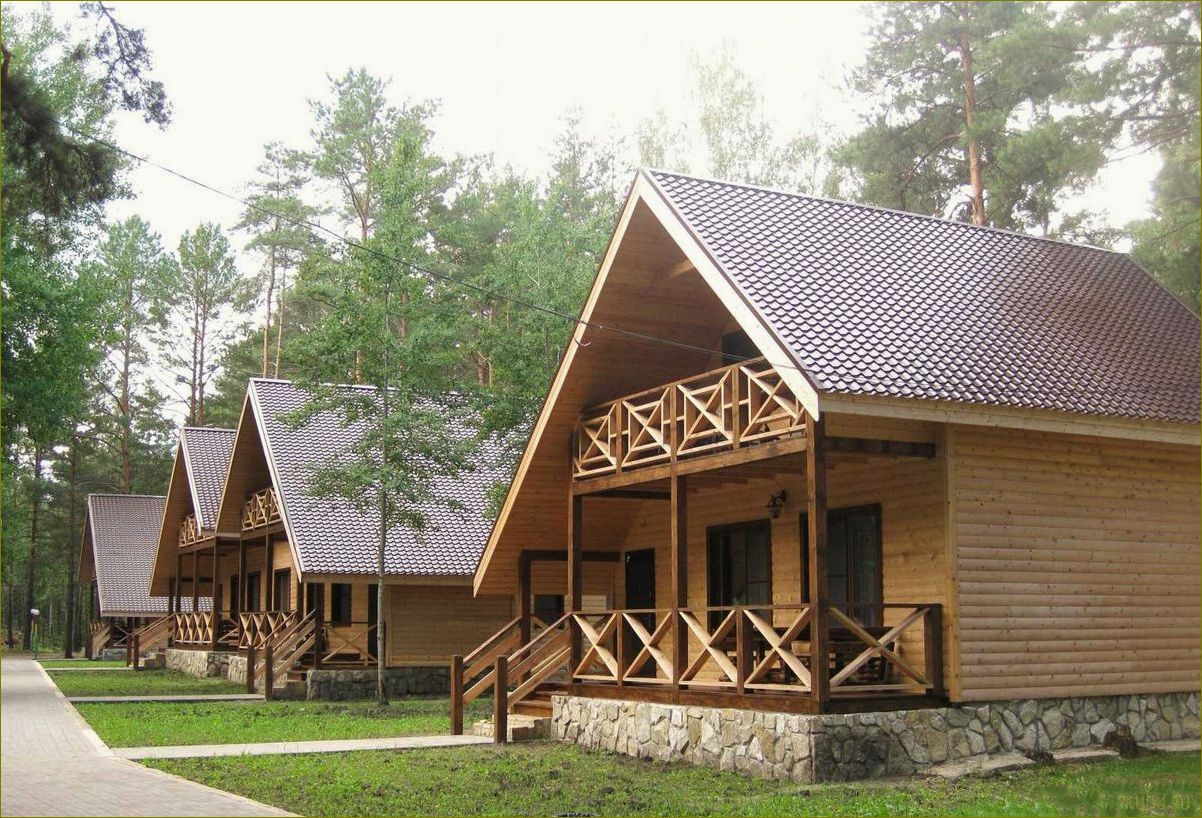 Уникальные базы отдыха в живописной Липецкой области — роскошные домики у воды, идеальное место для идеального отдыха!