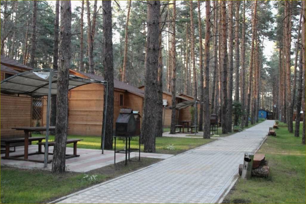 Лучшие базы отдыха в живописной Волгоградской области, расположенные у берега воды, где можно насладиться природой и комфортом