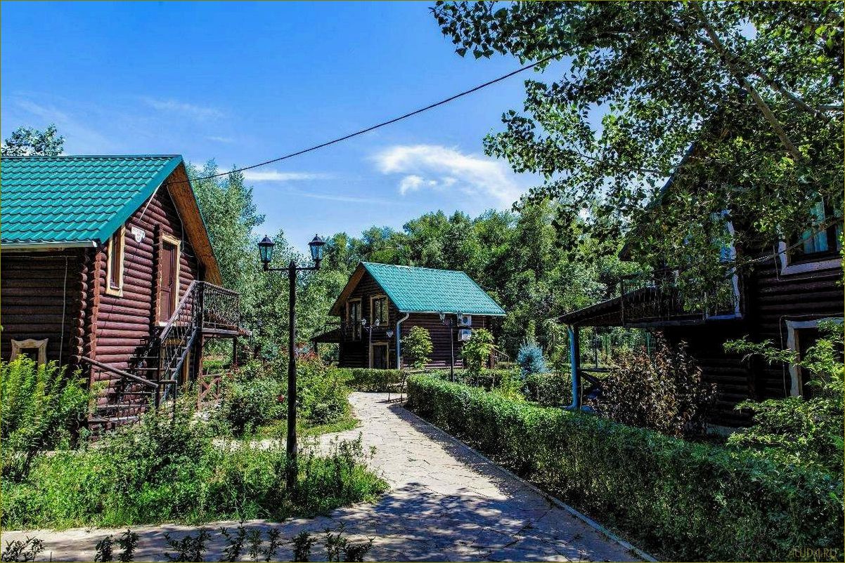 Лучшие базы отдыха в живописной Волгоградской области, расположенные у берега воды, где можно насладиться природой и комфортом