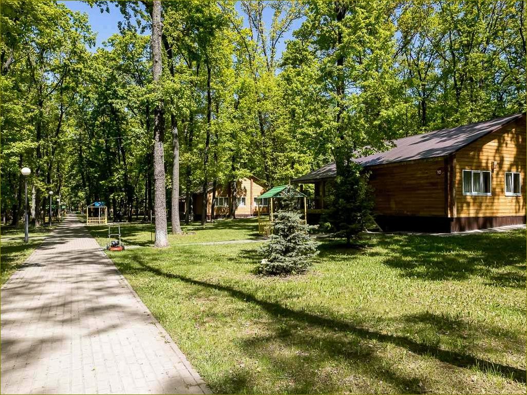 Белгородская область — идеальное место для отдыха ребенка — от разнообразных развлечений до красивой природы и интересных экскурсий