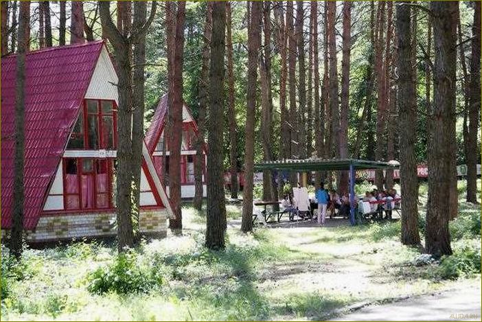 Белгородская область — идеальное место для отдыха ребенка — от разнообразных развлечений до красивой природы и интересных экскурсий