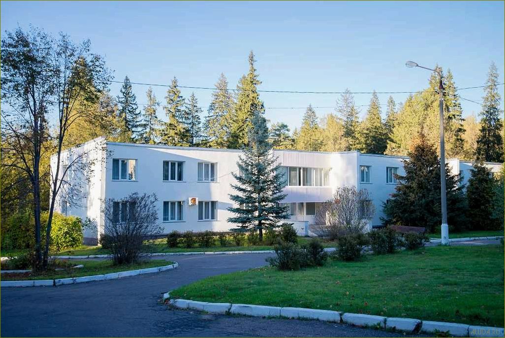 Уникальное место для отдыха в Можайске — дом отдыха в Московской области