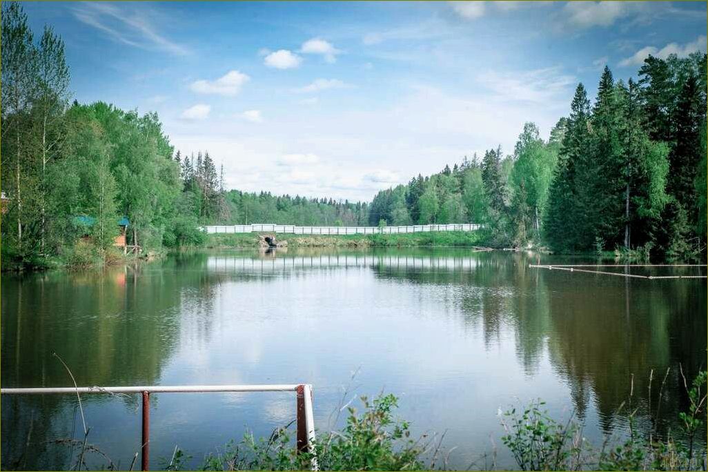 Дом отдыха на берегу озера в Московской области — идеальное место для релаксации и наслаждения природой