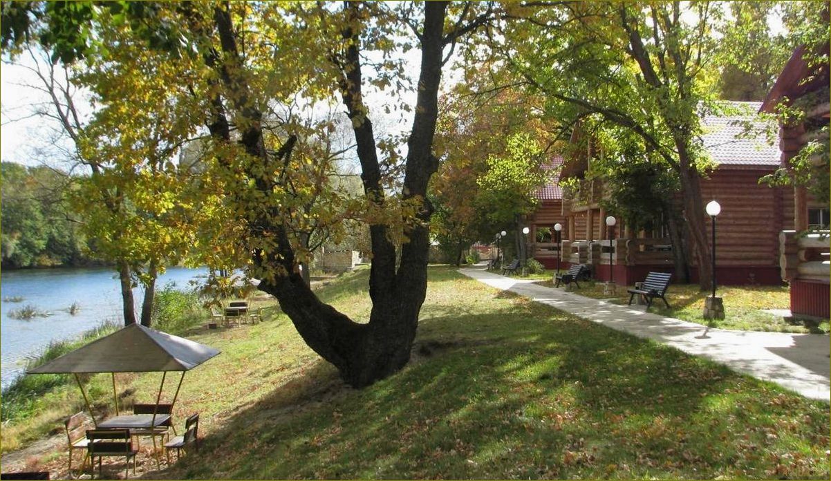 Лучшие дома отдыха в Воронеже и Воронежской области для незабываемого отпуска и релаксации