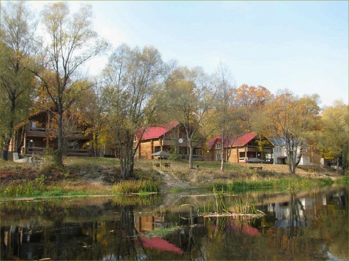 Лучшие дома отдыха в Воронежской области с включенным питанием — гарантия комфорта, разнообразие блюд и незабываемые впечатления!