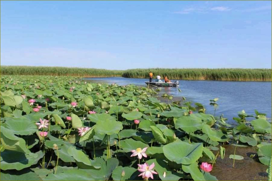 Каспийское море — отдых с детьми в Астраханской области — лучший выбор для семейного отпуска