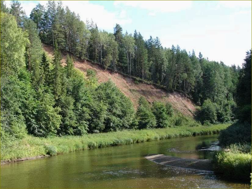 Знакомьтесь с уникальными природными достопримечательностями Кировской области — от величественных горных хребтов до живописных водопадов и удивительных лесных массивов!