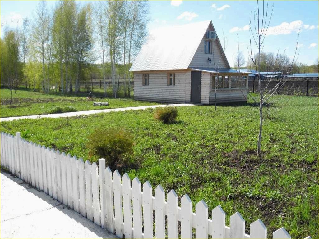 Отдых в Липецкой области — ламские просторы, вдохновляющая природа и незабываемые впечатления