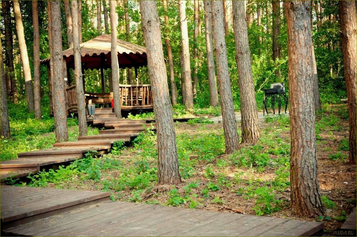 Липецкая область — идеальное место для отдыха в лесах, наслаждения природой и восстановления сил