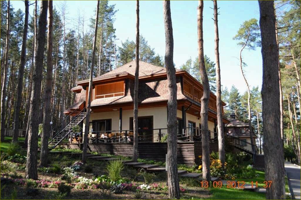 Липецкая область — идеальное место для отдыха в лесах, наслаждения природой и восстановления сил