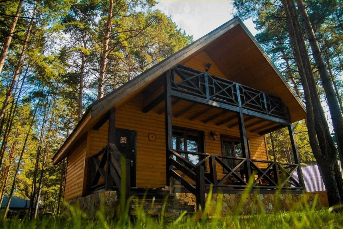 Липецкая область — идеальное место для отдыха в лесах, наслаждения природой и восстановления сил