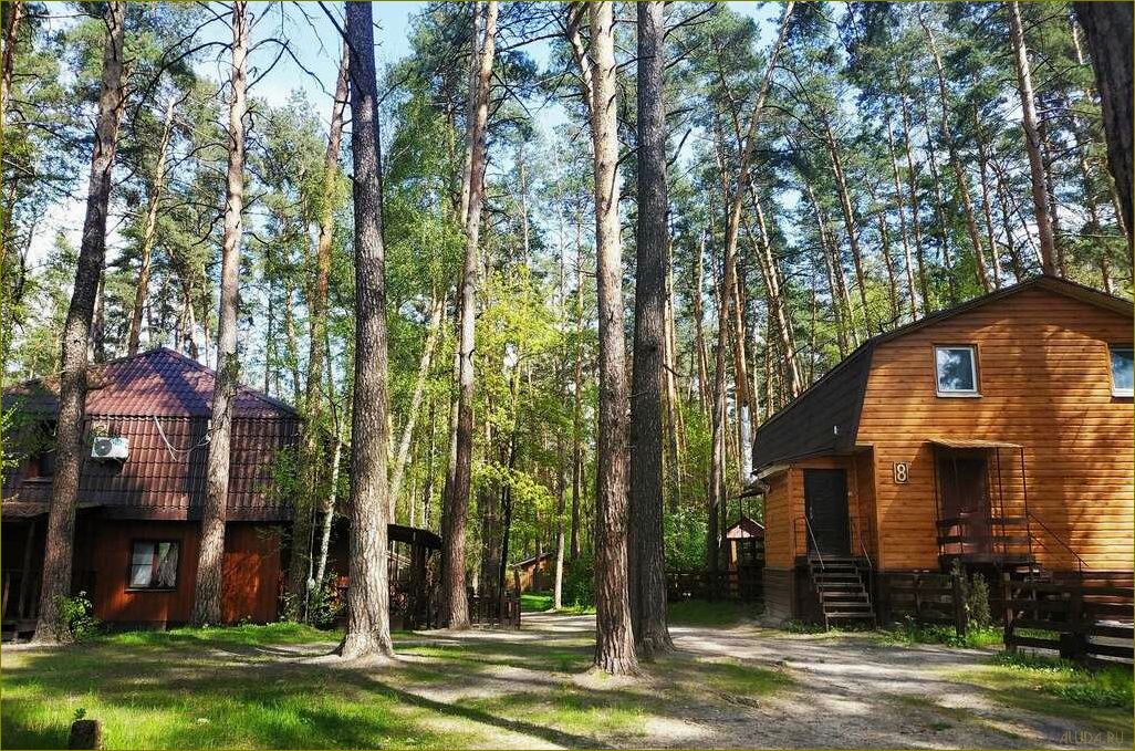 Путеводитель по самым прекрасным и уютным домам отдыха Воронежской области, где вы сможете насладиться комфортом, природой и незабываемыми впечатлениями