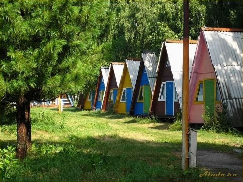 Отпуск без переплат — отдых на базах Новосибирской области по доступным ценам