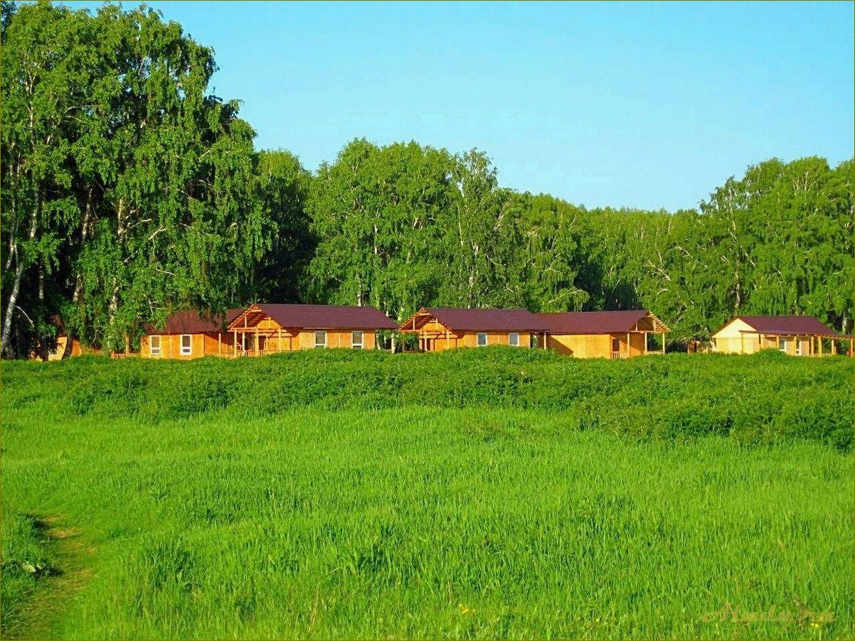 Отпуск без переплат — отдых на базах Новосибирской области по доступным ценам