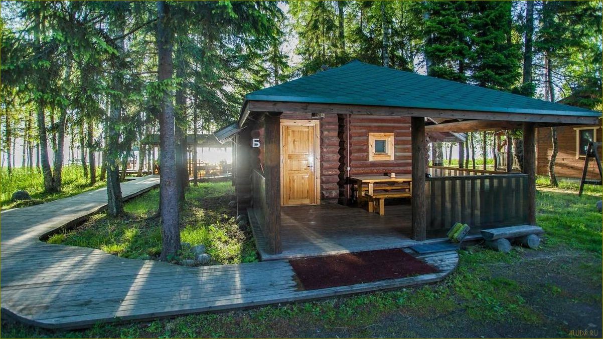 (полезные, советы, недорогого, семейного, отдыха) Полезные советы для недорогого семейного отдыха в Ленинградской области — идеальное место для семейного отдыха без огромных затрат