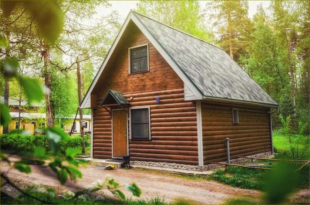 (полезные, советы, недорогого, семейного, отдыха) Полезные советы для недорогого семейного отдыха в Ленинградской области — идеальное место для семейного отдыха без огромных затрат