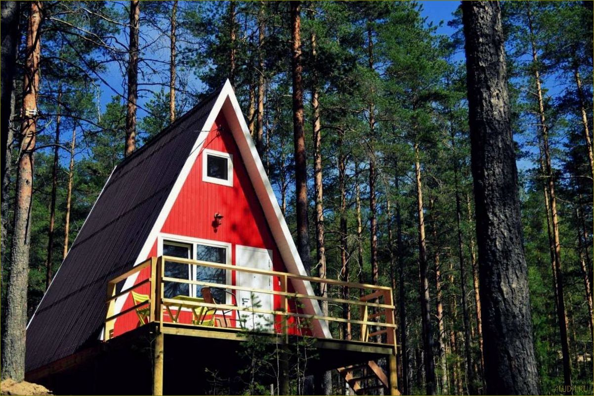 (полезные, советы, недорогого, семейного, отдыха) Полезные советы для недорогого семейного отдыха в Ленинградской области — идеальное место для семейного отдыха без огромных затрат