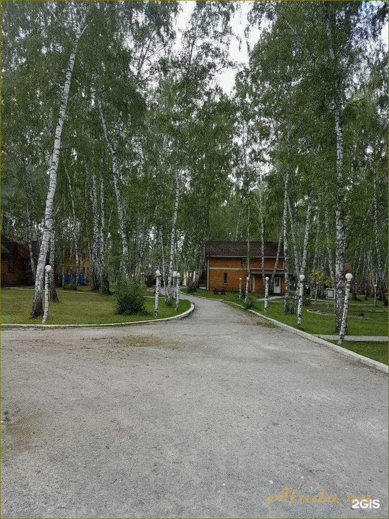 Отдых на базе 