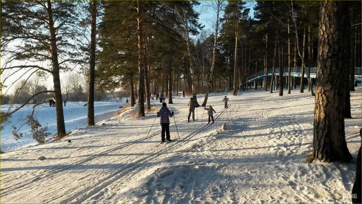 Отпуск зимой в Новосибирской области — куда поехать и что посмотреть