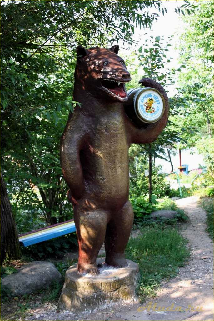 Опеченский посад в Новгородской области — уникальные достопримечательности, историческое наследие и красота природы