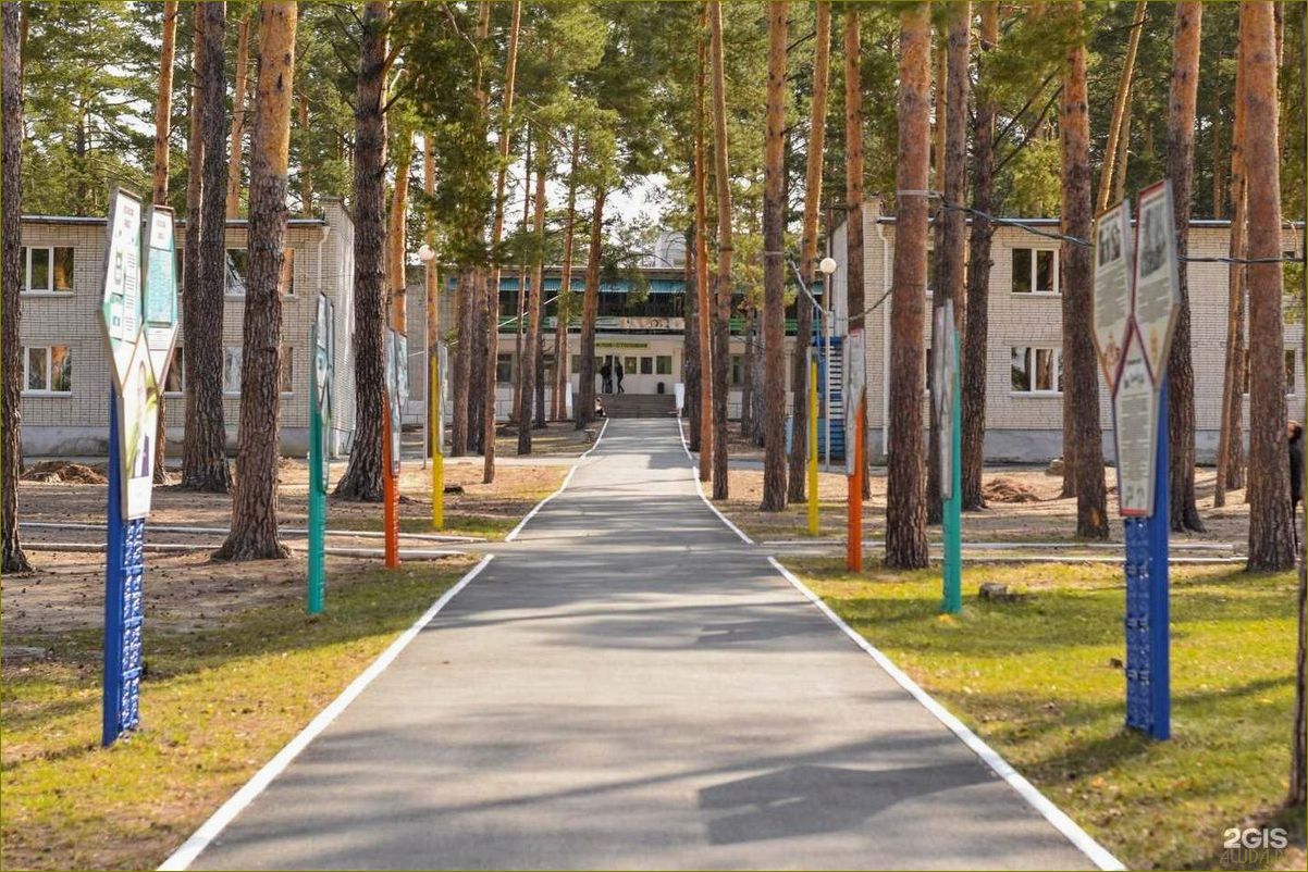Интересные и разнообразные возможности для отдыха детей в Курганской области, от детских лагерей до экскурсий и активных игр на природе