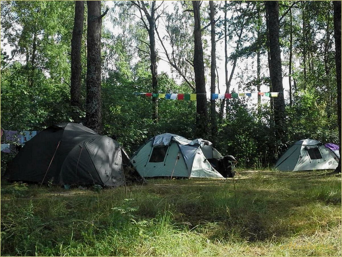 Отдых дикарем в Пензенской области — насладитесь природой и уникальными возможностями