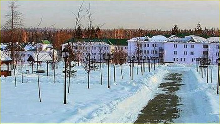 Отдых в гвоздике Московской области — идеальное место для релаксации и наслаждения природой