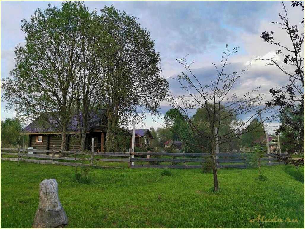 Отдых на экоферма Тверская область