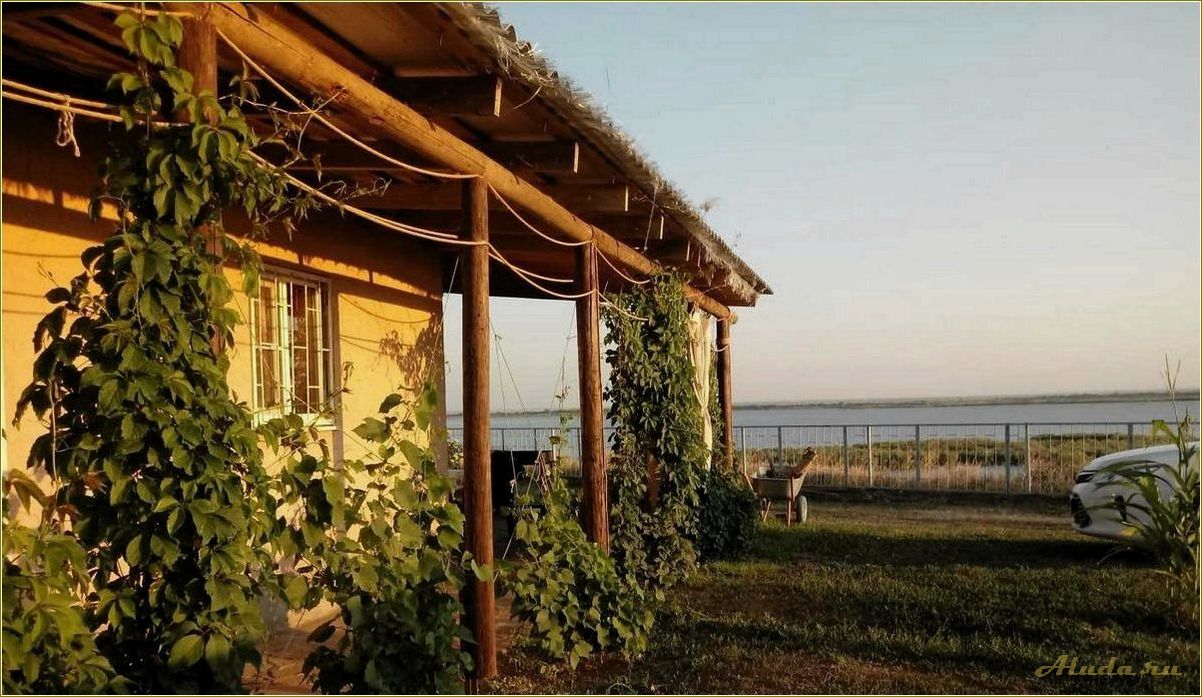 (отдых, ферме, ростовской, области, наслаждайтесь) Отдых на ферме в Ростовской области — наслаждайтесь природой, узнавайте о сельском хозяйстве и отдыхайте с комфортом