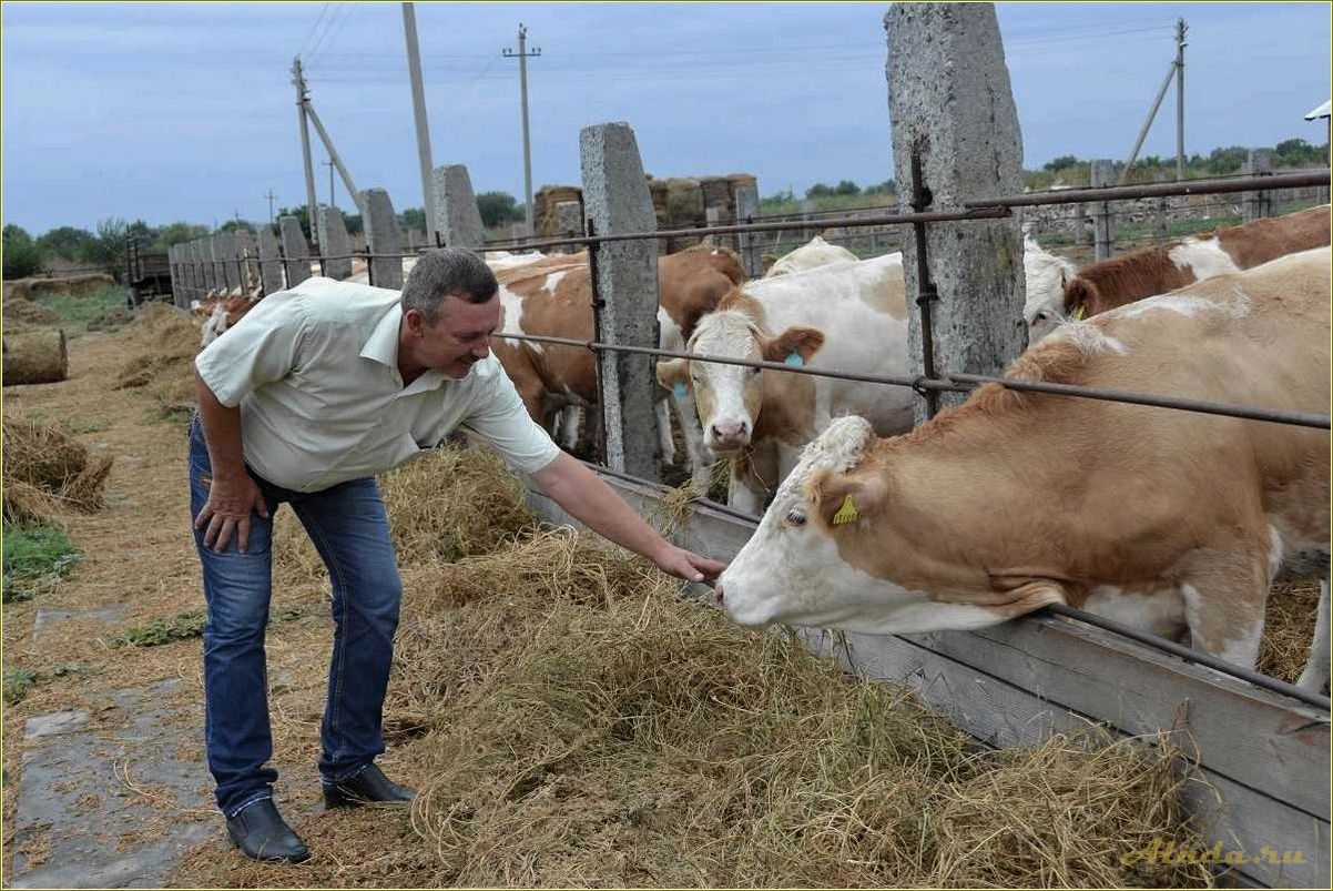 (отдых, ферме, ростовской, области, наслаждайтесь) Отдых на ферме в Ростовской области — наслаждайтесь природой, узнавайте о сельском хозяйстве и отдыхайте с комфортом