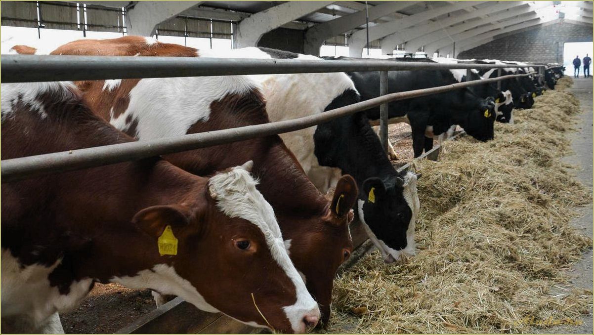 (отдых, ферме, ростовской, области, наслаждайтесь) Отдых на ферме в Ростовской области — наслаждайтесь природой, узнавайте о сельском хозяйстве и отдыхайте с комфортом