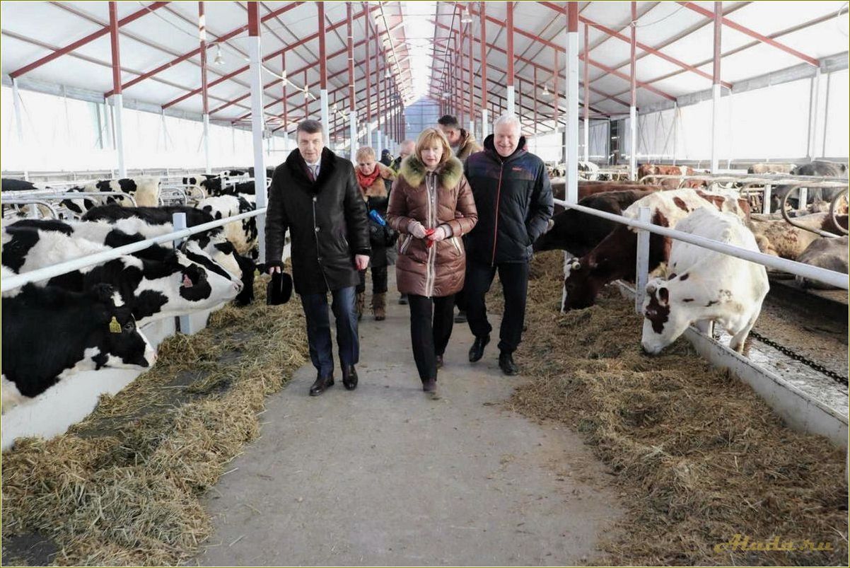 (отдых, ферме, ростовской, области, наслаждайтесь) Отдых на ферме в Ростовской области — наслаждайтесь природой, узнавайте о сельском хозяйстве и отдыхайте с комфортом