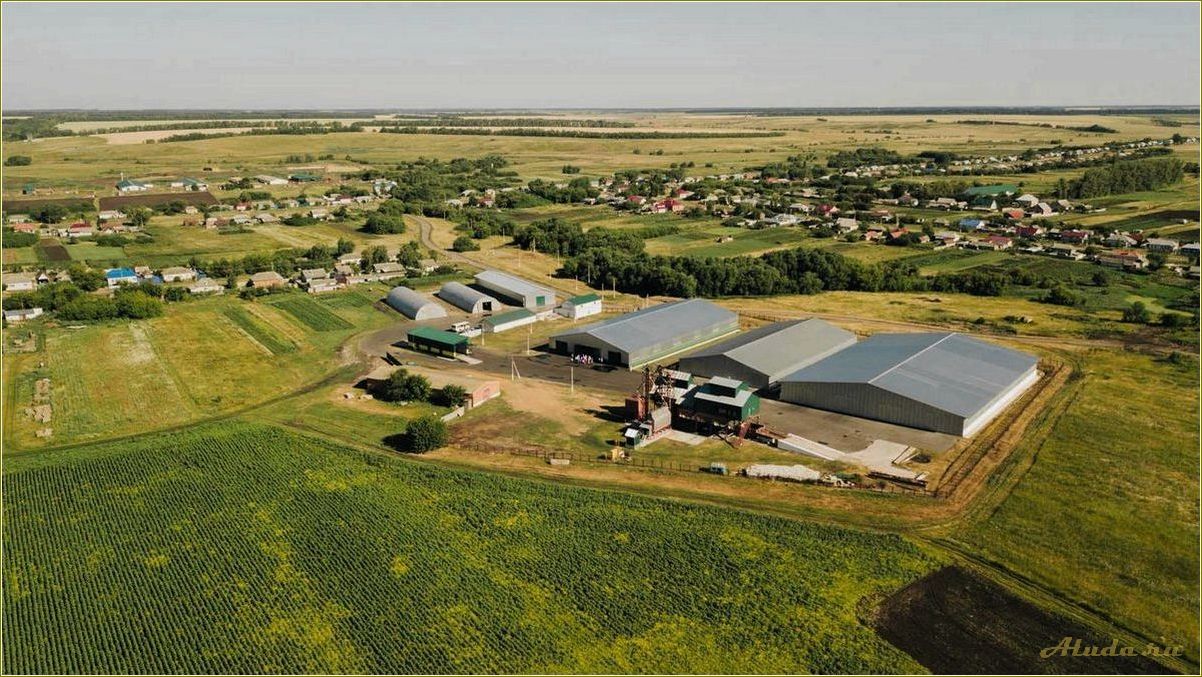 (отдых, ферме, ростовской, области, наслаждайтесь) Отдых на ферме в Ростовской области — наслаждайтесь природой, узнавайте о сельском хозяйстве и отдыхайте с комфортом