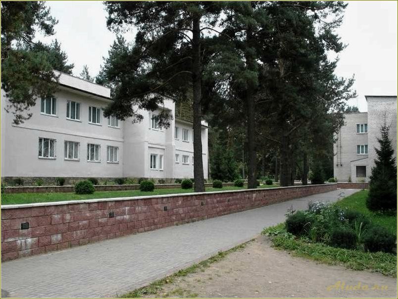 (отдых, голубых, озерах, псковской, области) Отдых на голубых озерах Псковской области — наслаждайтесь кристально чистой водой и бескрайними просторами природы