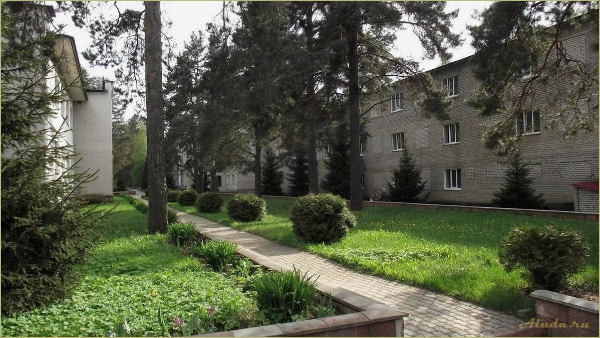 (отдых, голубых, озерах, псковской, области) Отдых на голубых озерах Псковской области — наслаждайтесь кристально чистой водой и бескрайними просторами природы